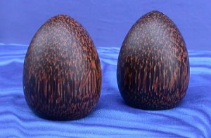 PORTA PEPE E SALE A UOVO IN COCCO SET 2PZ