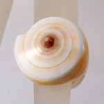 ANELLI CON CONCHIGLIA INTERA - Image 8