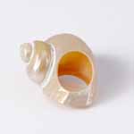 ANELLI CON CONCHIGLIA INTERA - Image 3